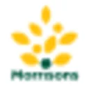Morrisons Grocery Coupon Codes